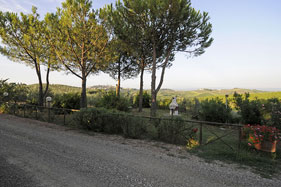 Agriturismo Casanova di Pescille