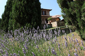 Agriturismo Casanova di Pescille