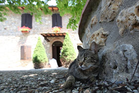 Agriturismo Casanova di Pescille